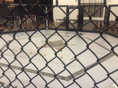 Women's MMA is growing on Long Island
