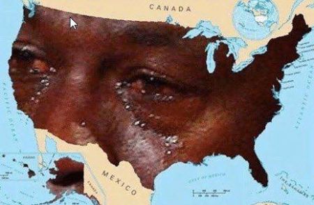 Vote for your favorite meme of 2016 America!
