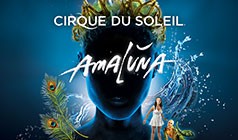 Amaluna by Cirque du Soleil tickets at Royal Albert Hall, London tickets at Royal Albert Hall, London